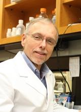 Robert J Vassar